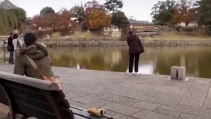 العجوز لم تستطع النوم في منتصف الليل