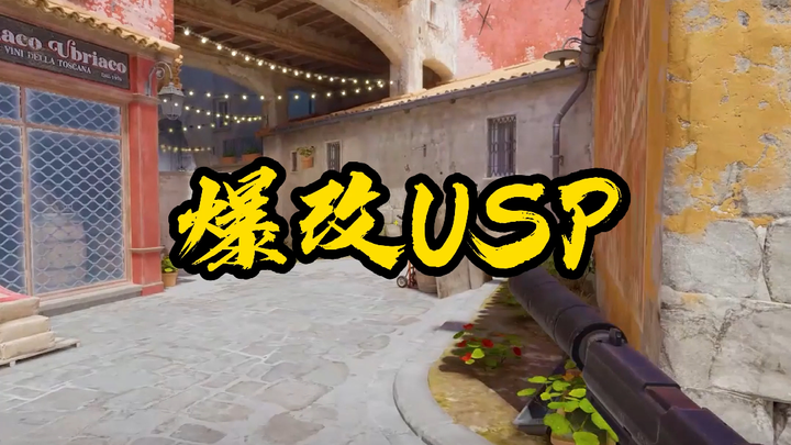 USP Major Overhaul into a Sniper Rifle