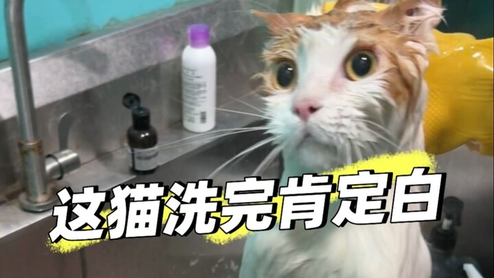 From then on, their fates began to intertwine…