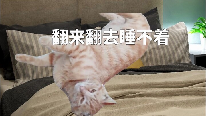 You, Staying Up Late at Home During the Break