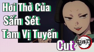 [Thanh Gươm Diệt Quỷ] Cut | Hơi Thở Của Sấm Sét - Tam Vị Tuyến