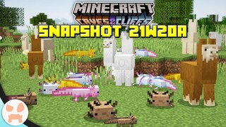 AXOLOTL + LLAMA UPDATES, MONSTER ROOTS, & MORE! | Minecraft 1.17 Caves and Cliffs Snapshot 21w20a