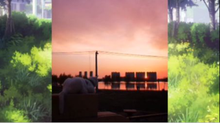 แมวตลก#17