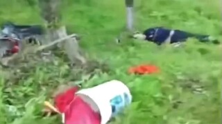 عمّ كبير أُغمي عليه بعد أن صدمته سيارة أثناء جمعه للفطر