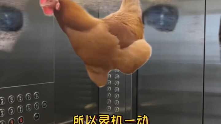 มีคนจ้องมองตรงนั้นของฉันอยู่