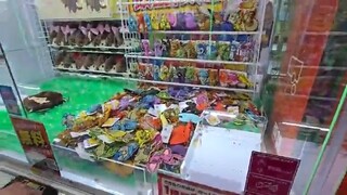 We Kept WINNING on this Claw Machine!