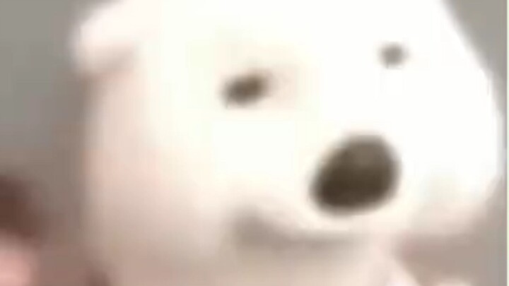 Bạn đừng nói, chỉnh thế này lại khá hợp đấy!