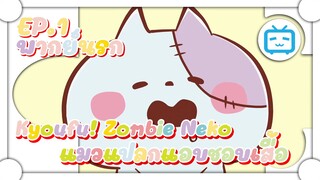 Kyoufu! Zombie Neko SS2 แมวแปลกแอบชอบเสื้อ ✿ พากย์นรก ✿