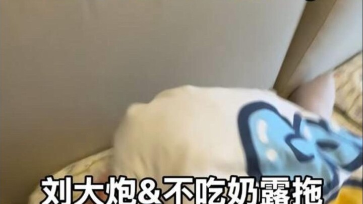 Sau khi quay xong, Lưu Thi Kỳ thậm chí còn không kịp ăn cơm đã vội rời đi.