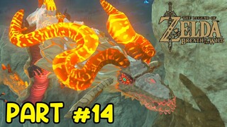 WOOAAHHH ADA NAGA APII! - Zelda : Breath Of The Wild #14