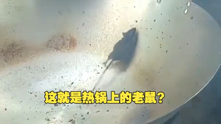 Is this what it’s like to be a rat on a hot pan?