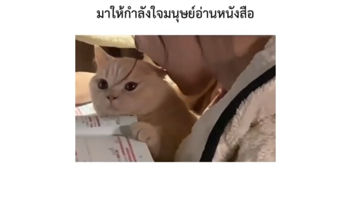 มาให้กำลังใจมนุษย์อ่านหนังสือ