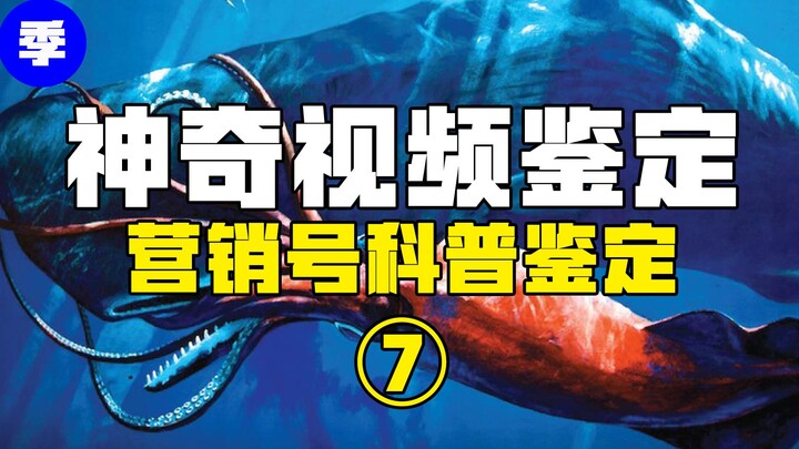 【鉴定热门】抹香鲸的排泄物真的是世界上最昂贵的粑粑嘛？