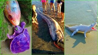 Catching Seafood 🦀🐙 ASMR Relaxing (Catch Shark , Catch Fish ,Deep Sea Monster ) #497