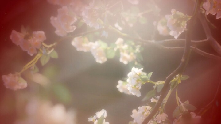 [Wu Lei][Cheng Yi] The White Moonlight in the Heart of the Demon Emperor (Short Film)