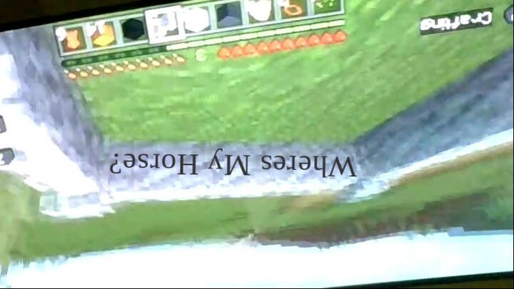 I Lost My Horse In Minecraft (Upside Down Screen)
