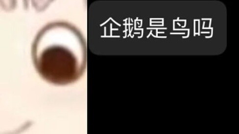 Penguins are birds? Xiaorou, I hope you say this [Shizuku Ruru/Xiaorou]