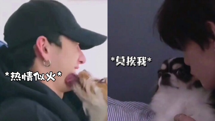 Gami & Berry: The Poles of the Dog World [Stray Kids]