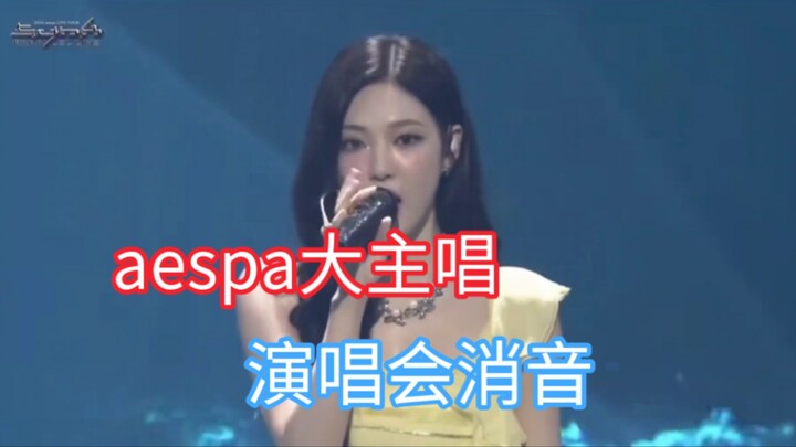 คอนเสิร์ตของ aespa ที่มีนักร้องนำเพียงคนเดียวถูกปิดเสียง