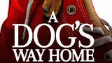A Dog's Way Home_2019 ‧ Family/Adventure ‧ 1h 37m