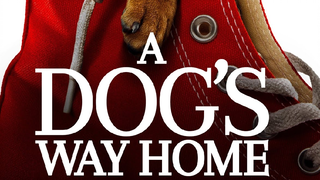 A Dog's Way Home_2019 ‧ Family/Adventure ‧ 1h 37m