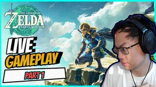 Zelda - Tears of The Kingdom: DAY ONE  : Genshin CLONES? (jokes)