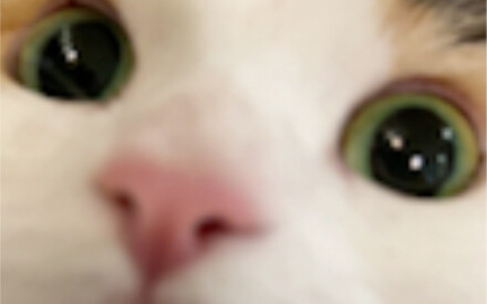 Hello, please come in and get a kiss