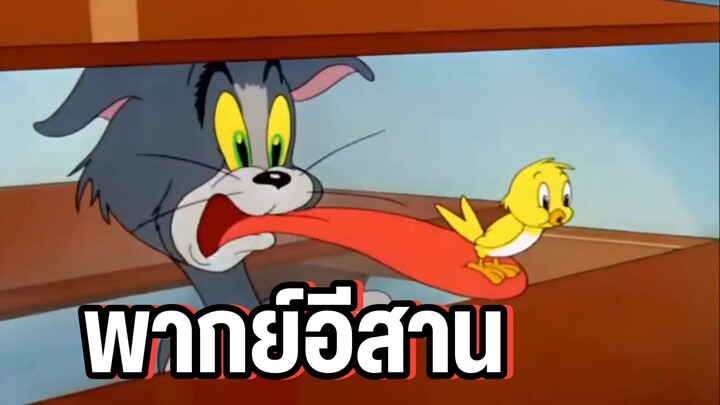 ทอมแอนด์เจอร์รี่ พากย์อีสาน ยอมแพ้แล้วอย่าเฮ็ดข่อย
