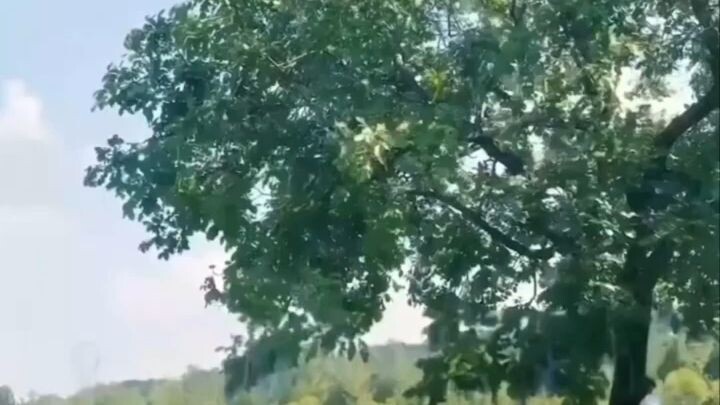 หากรักลึกซึ้งคือความเข้าใจผิด《若深情错付》