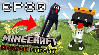 👑🔥ฟาร์ม Enderman โดยไม่ต้องไปโลกมังกร🔥👑 #30 | Minecraft Dragons Knight