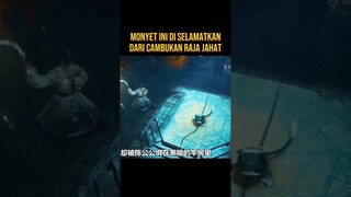 BALAS BUDI SI MONYET KEPADA MANUSIA YANG MENYELAMATKAN NYA #alurceritaflim #film