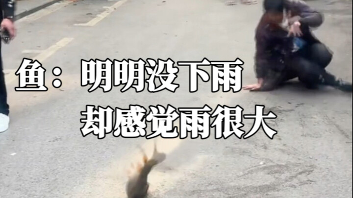 鱼：明明没下雨，却感觉雨很大