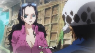 Robin Dan Law Mojok Di Kebon 😍, Zoro Lihat Ini Pasti Ketar Ketir 🤣