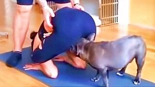 Funny Animal Videos 2022 😂 - Funniest Cats And Dogs Video 😺😍