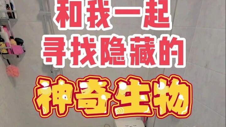 Hãy tìm xem nó đang ẩn ở đâu nào~