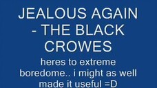 Jealous Again/By The Black Crowes/MV Lyrics