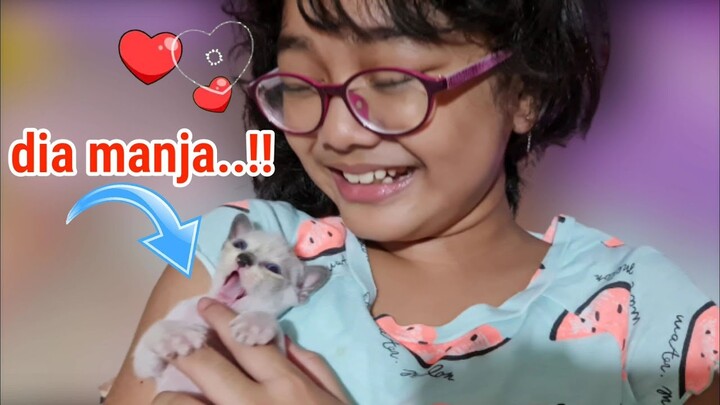 Dia Minta Gendong Manja Banget ke Kakak Hanum ❤️ Anak Kucing Lucu - Miss Cemplon