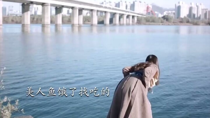 “Nhật ký sinh tồn của nàng tiên cá trong thế giới loài người: Bí kíp kiếm tiền từ những giọt nước mắ