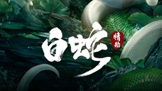 White Snake Afloat