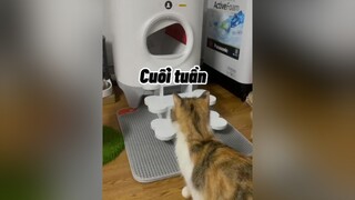 Cuối tuần zuiiu nhé 🥰