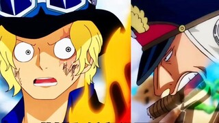 Who is stronger, Sabo or Shiryu? #1354