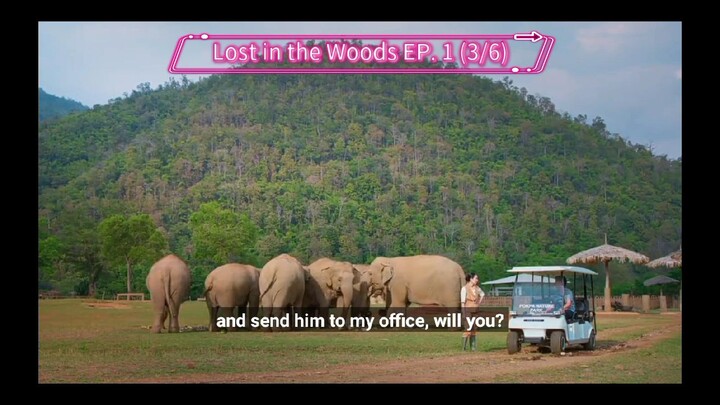 Lost in the Woods EP. 1 (3/6)