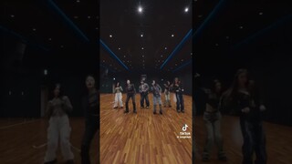 NewJeans doing the 3D tiktok challenge #danielle #haerin #hanni #hyein #minji #newjeans