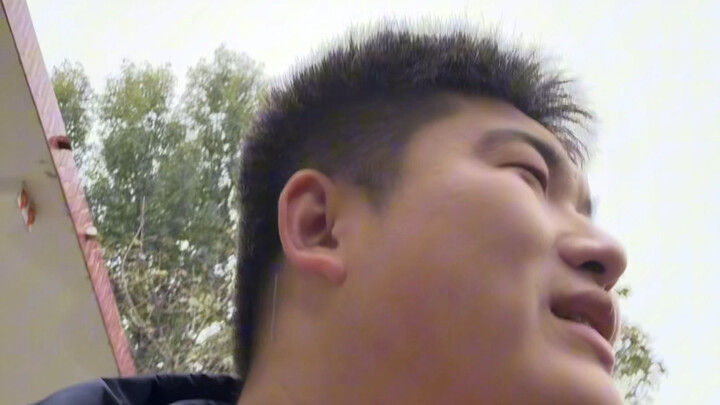 كلنا بنربي قطط، إذا ما عندك قط تواصل معي!! أنا هعطيك واحد.