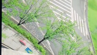 -22 | วิตชี