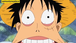 luffy và đồng bọn =))))