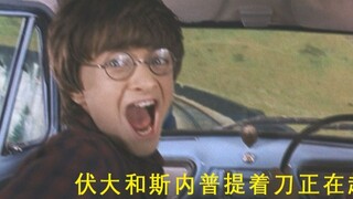 [hp][เดฮา] ละครประติมากรรมทรายหลังดื่มไวน์ปลอม 3