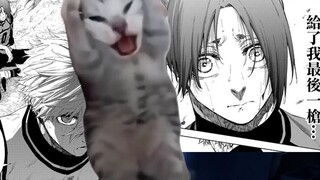 Use [cat meme] to express the mental journey from entering the pit blue lock to white and purple