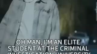 sestem detective