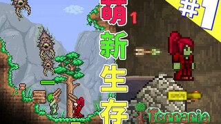 Terraria Newbie Survival 1
